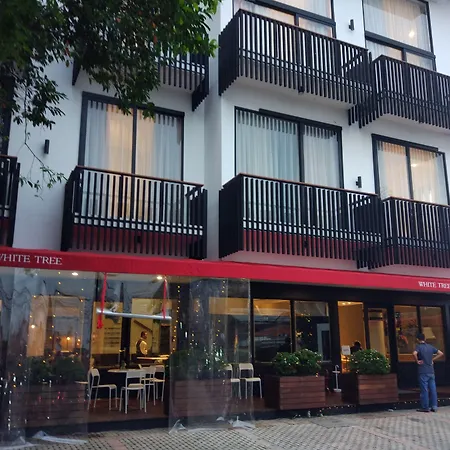 White Tree Residence-2